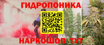 прущая мука Аргун